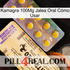 Kamagra 100Mg Jalea Oral Cómo Usar new06